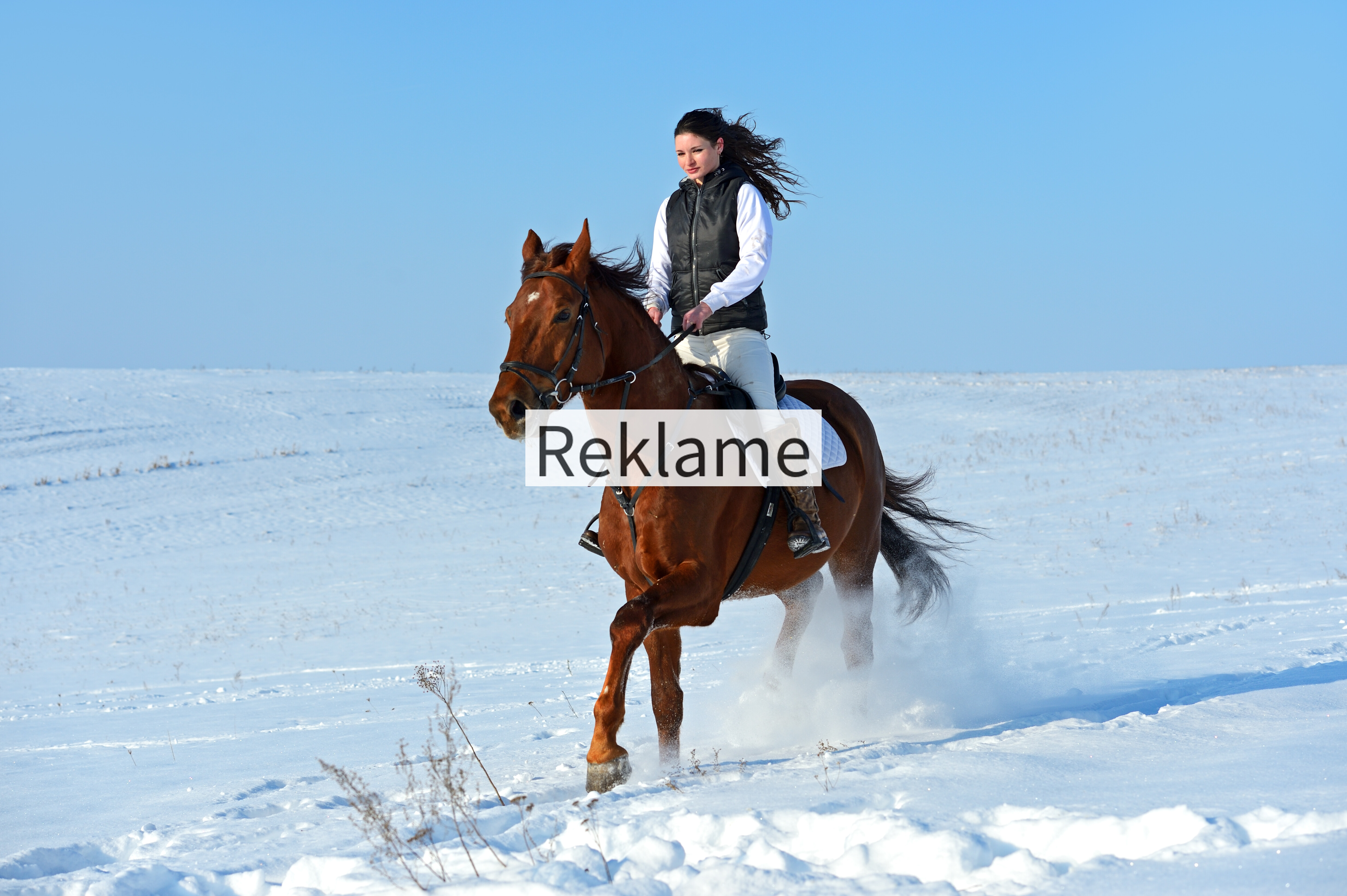 Hold din hest sund og rask i vinterkulden